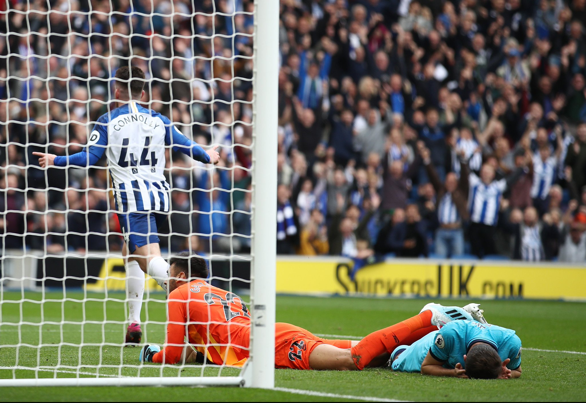 你翻译或扩 你翻译或扩