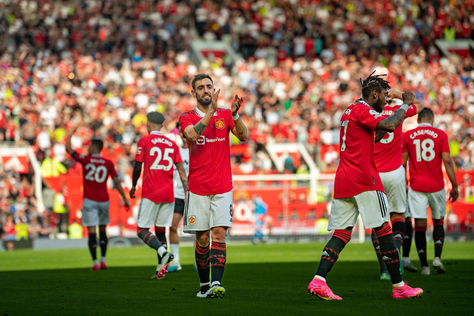 泛的国际粉 泛的国际粉